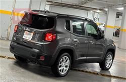 جيب رينيجيد